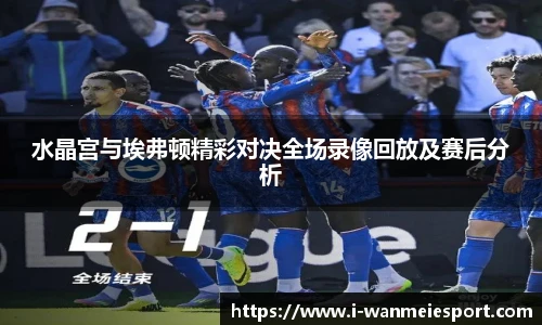 水晶宫与埃弗顿精彩对决全场录像回放及赛后分析
